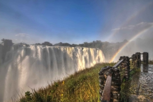 Victoria Falls: Guided Tour of the Falls