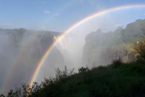 Victoria Falls: Guided Tour, Sunset Cruise, and Dinner