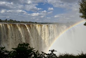 Victoria Falls: Guided Tour, Sunset Cruise, and Dinner