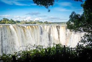 Chutes Victoria : visite guidée, township et croisière au coucher du soleil