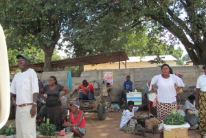 Chutes Victoria : visite guidée, township et croisière au coucher du soleil