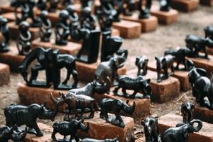 Victoria Falls: guidet tur, bydelbesøk og solnedgangscruise