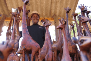 Victoria Falls: guidet tur, bydelbesøk og solnedgangscruise