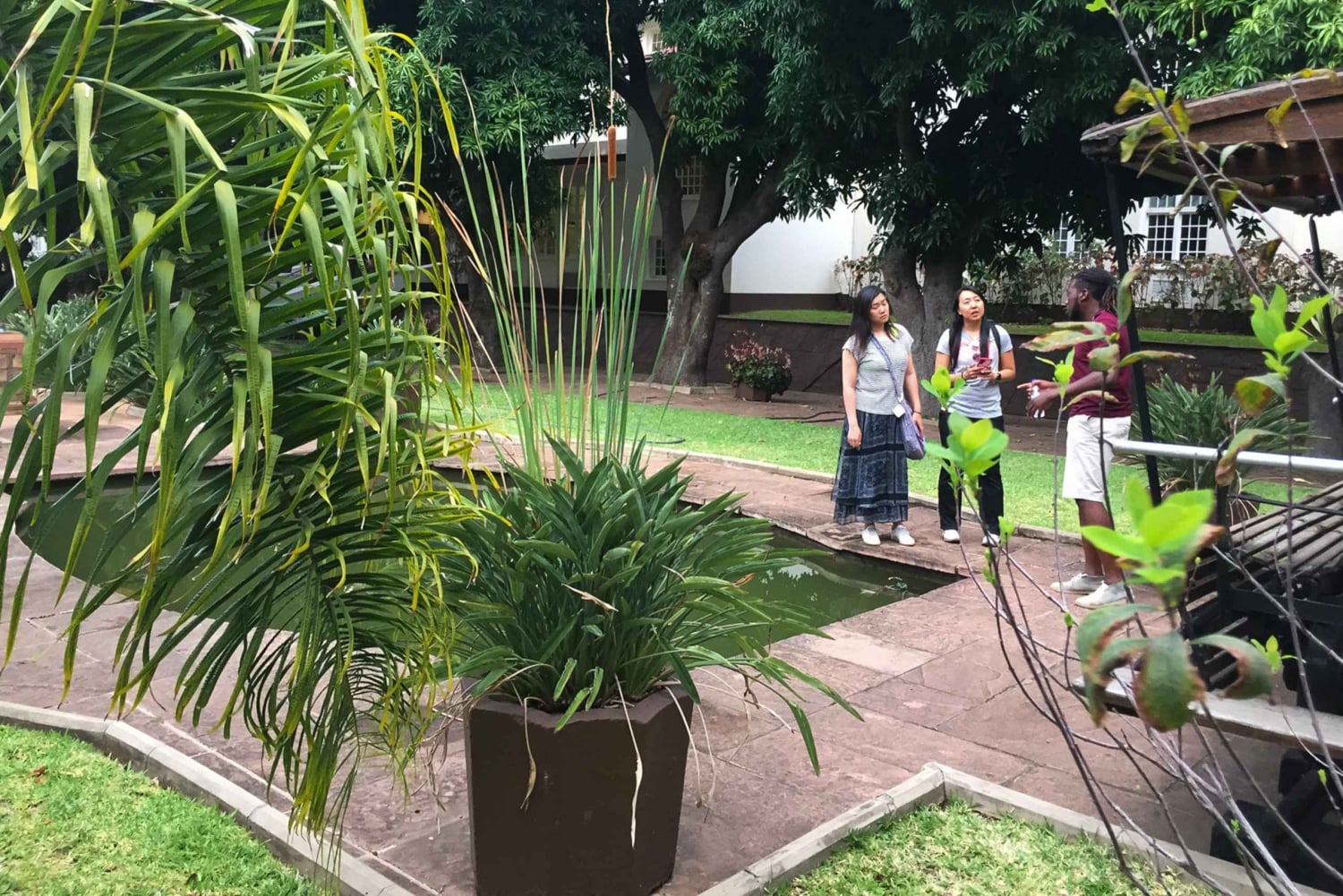 Wycieczka z przewodnikiem po wodospadach Wiktorii z podwieczorkiem