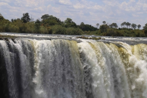 Tour guiado pelas Cataratas Vitória com chá da tarde