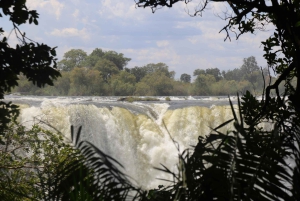 Tour guiado pelas Cataratas Vitória com chá da tarde