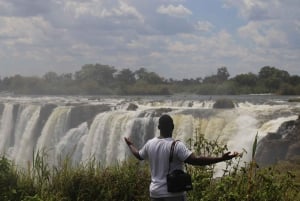 Tour guiado pelas Cataratas Vitória com chá da tarde