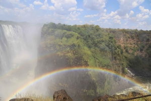 Tour guiado pelas Cataratas Vitória com chá da tarde
