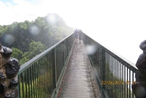 ヘリコプター遊覧飛行＆ガイド付き滝ツアー（ホテル送迎付き）をご利用いただけます