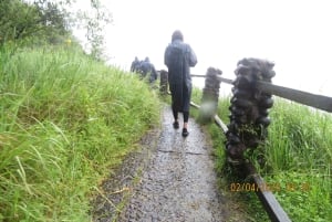 ヘリコプター遊覧飛行＆ガイド付き滝ツアー（ホテル送迎付き）をご利用いただけます