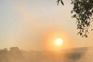 Victoria Falls: Guided Tour Of The Falls Rainforest