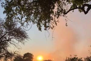 Victoria Falls: Guided Tour Of The Falls Rainforest