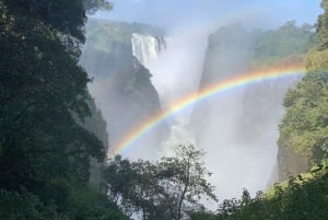 Victoria Falls: Guided Tour Of The Falls Rainforest