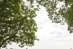 Wodospady Wiktorii: Wycieczka z przewodnikiem
