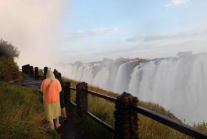 ヴィクトリアフォールズのガイド付きツアーをご案内いたします