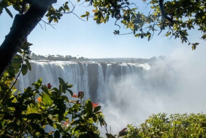 Экскурсия с гидом по водопаду Виктория
