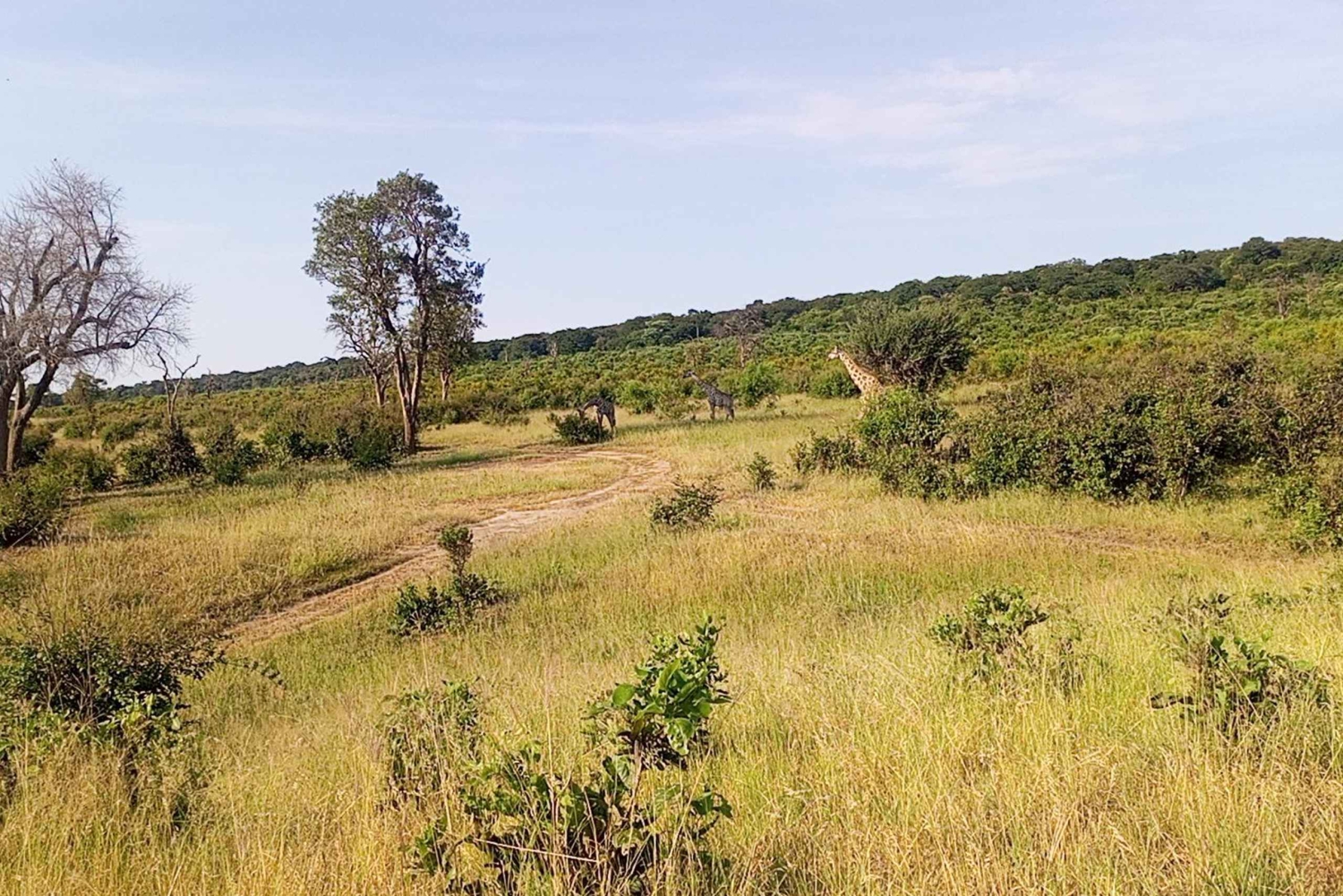Chutes Victoria : Visites guidées et transferts