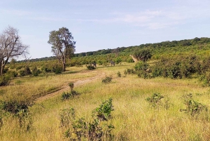 Chutes Victoria : Visites guidées et transferts