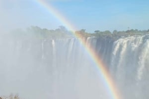 Victoria Falls: Guided Walking Tour