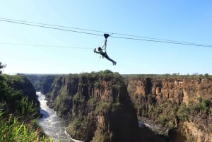 Victoria Falls: Half Day Flying Fox, Zip Line, & Gorge Swing