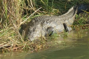 Victoriafälle: Hubschrauberflug & Wildtiersafari-Kombi