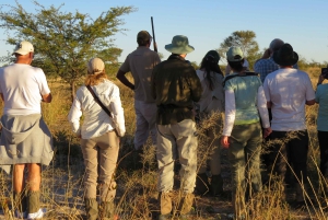 Victoria Falls: Helicopter Flight & Wildlife Safari Combo