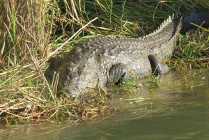 Victoria Falls: Helicopter Flight & Wildlife Safari Combo