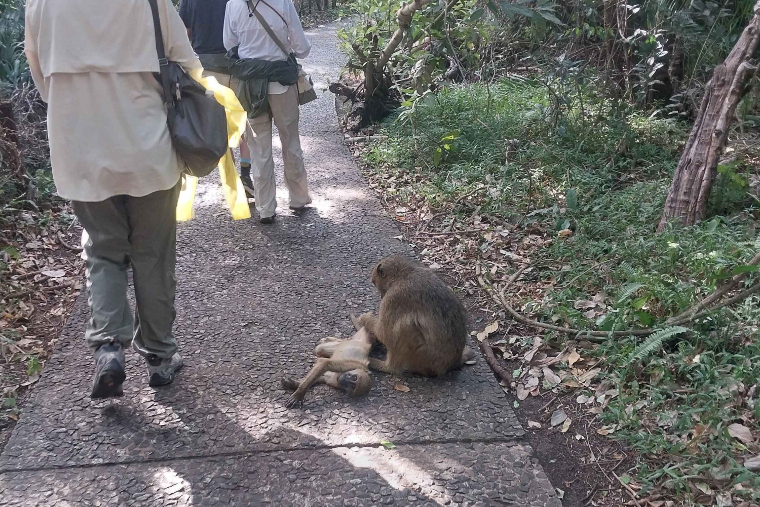 Chutes Victoria et vol en hélicoptère