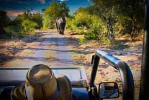 Victoria Falls Hidden Gem: High Tea Safari Drive