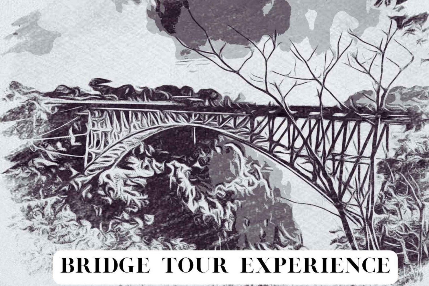 Victoria Falls: Historic Bridge Experience