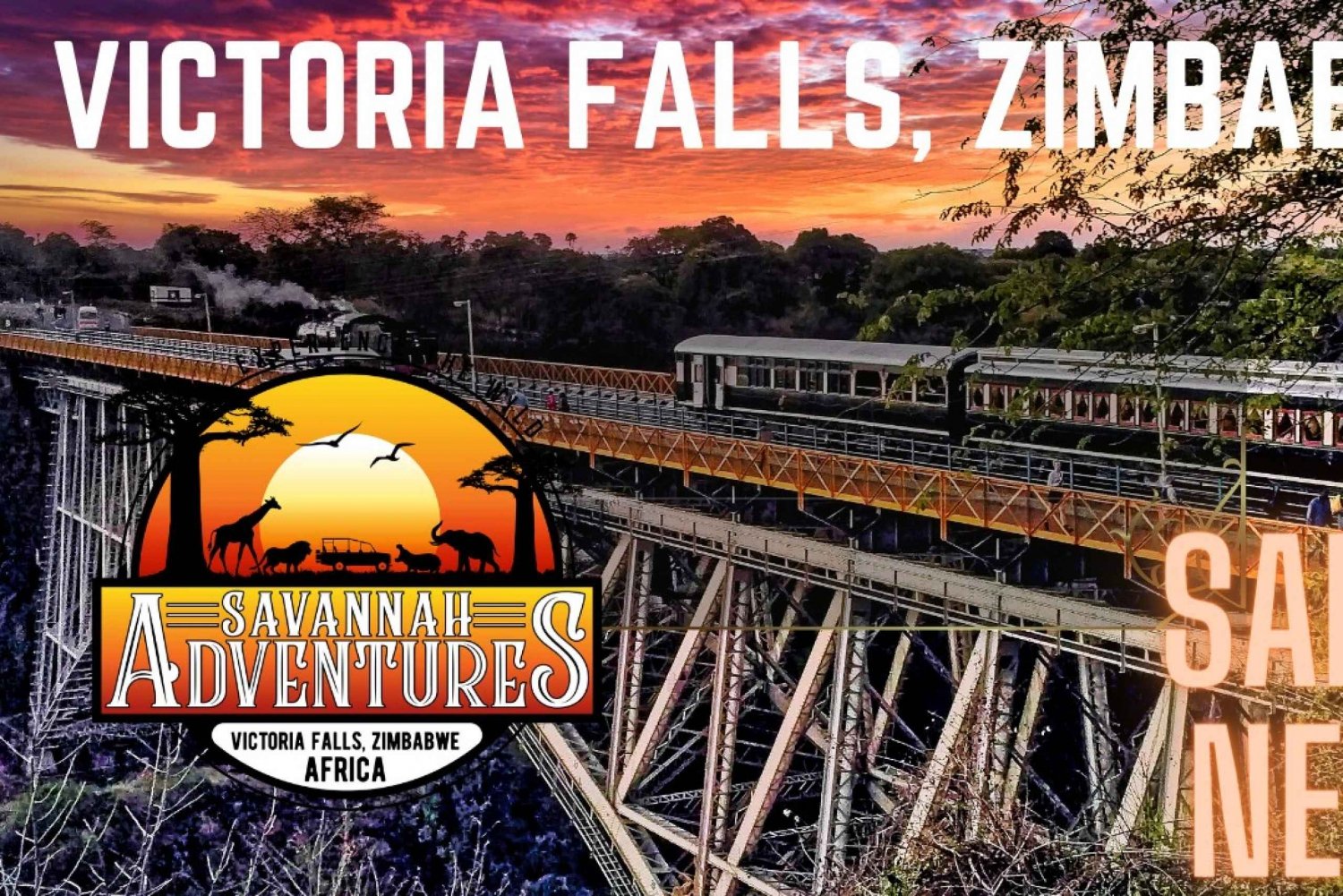 Victoria Falls: Historic Bridge Experience
