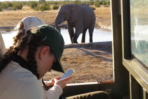 Victoria Falls, Hwange & Chobe: 7-Day Budget Safari