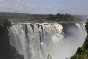 Safari di un giorno alle cascate Vittoria, cascate e crociera al tramonto