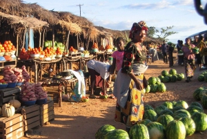 Victoria Falls: Introductory Town Tour with Coffee Break