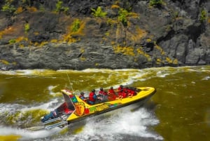 Victoria Falls: Jetboat Adventure Experience