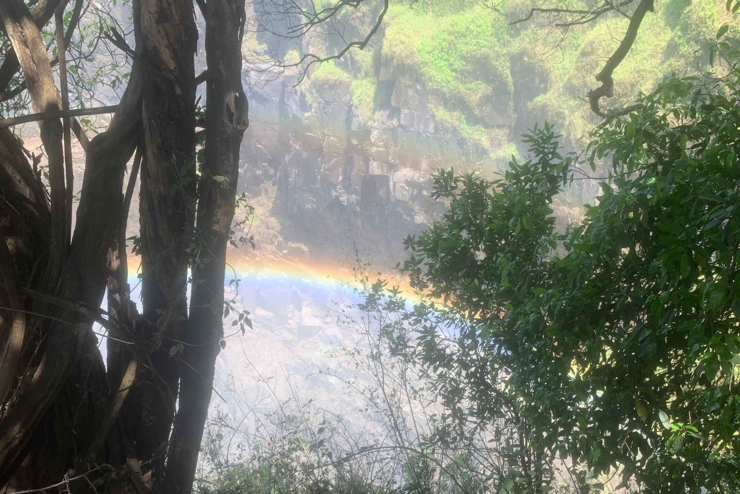 Experiência guiada imersiva nas Cataratas Vitória.