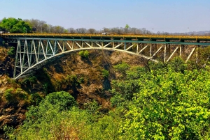 Experiência guiada imersiva nas Cataratas Vitória.