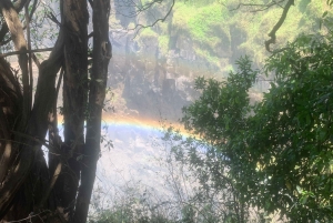 Experiência guiada imersiva nas Cataratas Vitória.