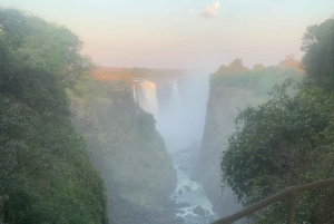 Experiência guiada imersiva nas Cataratas Vitória.