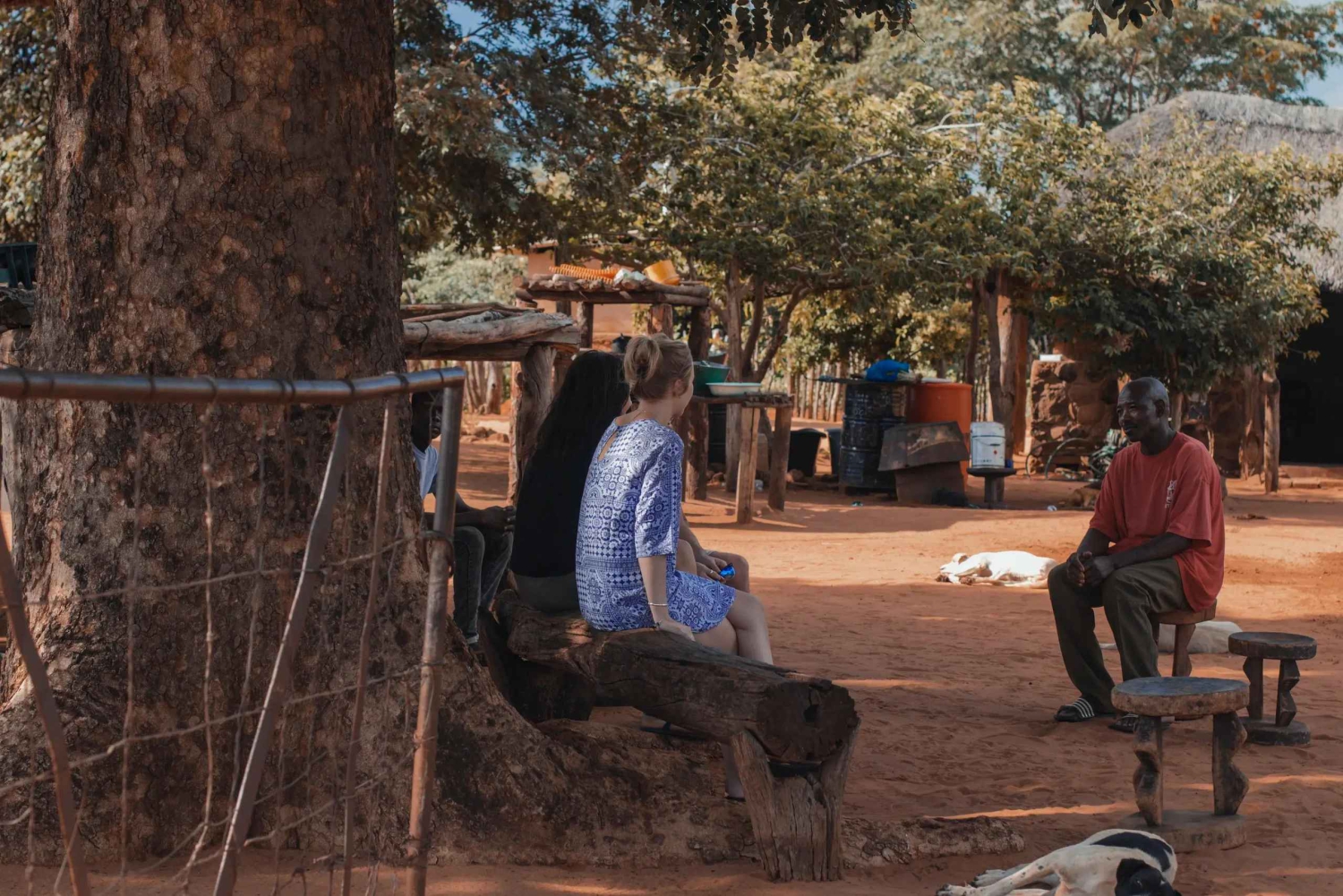 Victoria Falls: Monde Village Cultural Tour