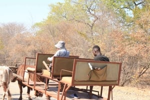Victoria Falls: Monde Village Cultural Tour