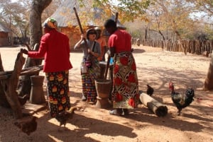 Victoria Falls: Monde Village Cultural Tour