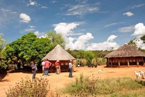 Victoria Falls: Monde Village Guided Cultural Tour