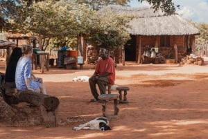 Victoria Falls: Monde Village Guided Cultural Tour