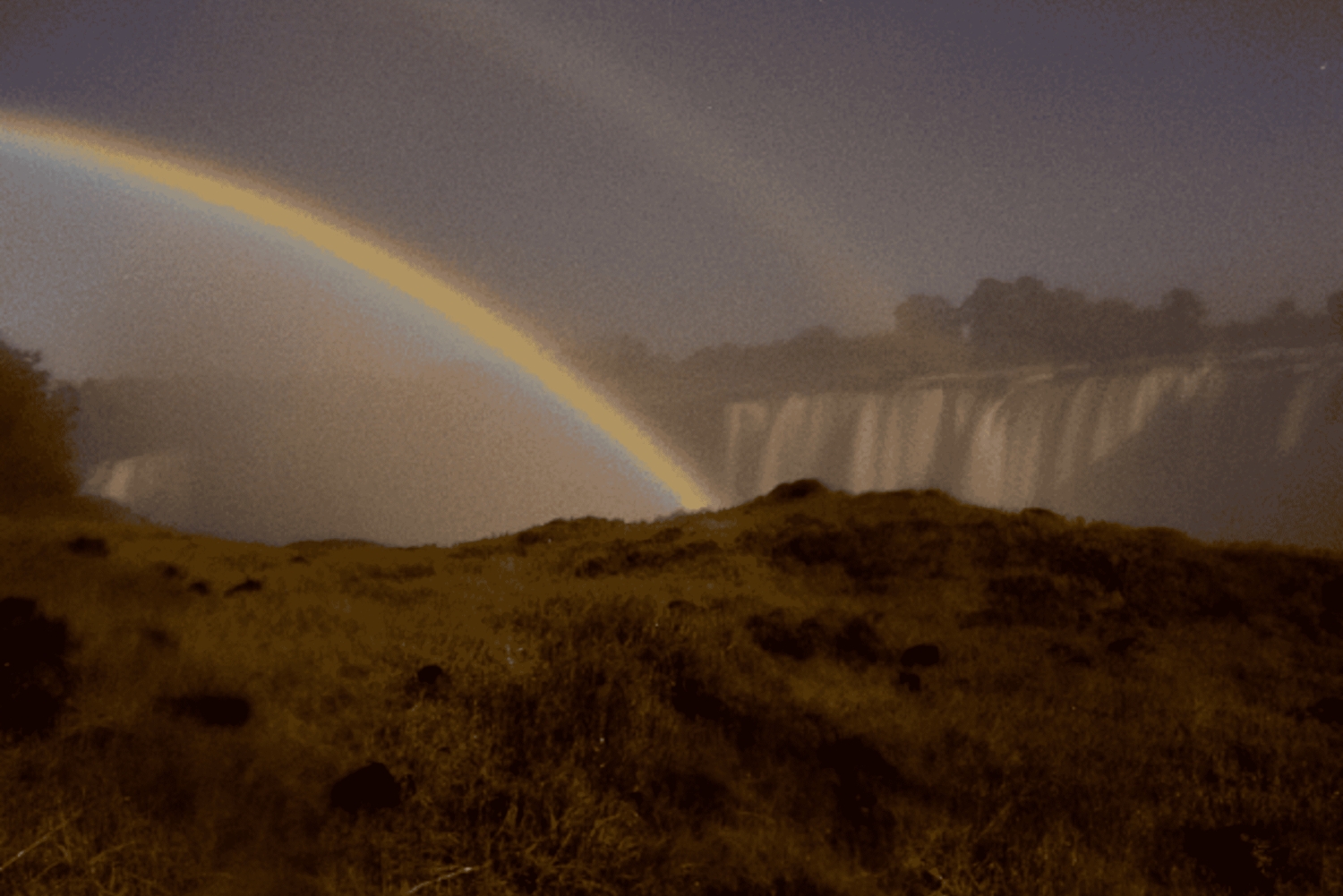 Victoriafälle: geführte nächtliche Tour zum Mondbogen (Mondregenbogen)
