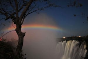 Victoriafälle: geführte nächtliche Tour zum Mondbogen (Mondregenbogen)