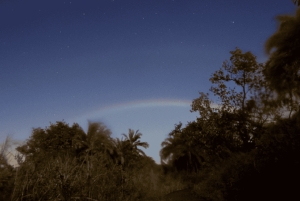 Victoriafälle: geführte nächtliche Tour zum Mondbogen (Mondregenbogen)