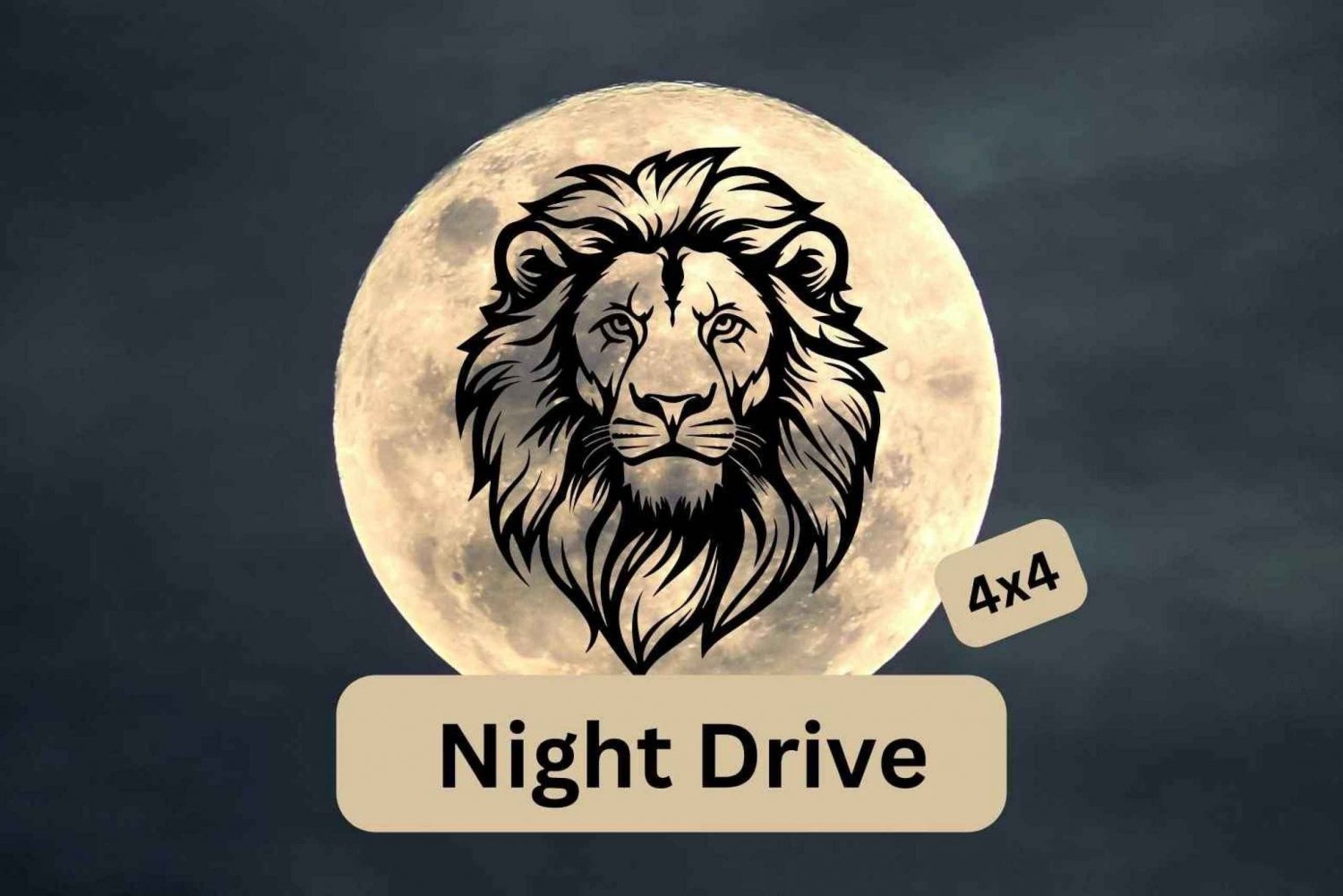 Victoria Falls: Moonlight Drive 4x4