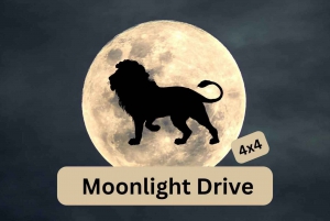 Victoria Falls: Moonlight Drive 4x4