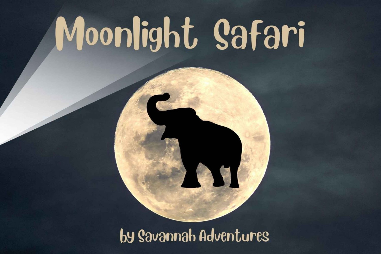 Victoria Falls: Moonlight Safari in Safari Jeep